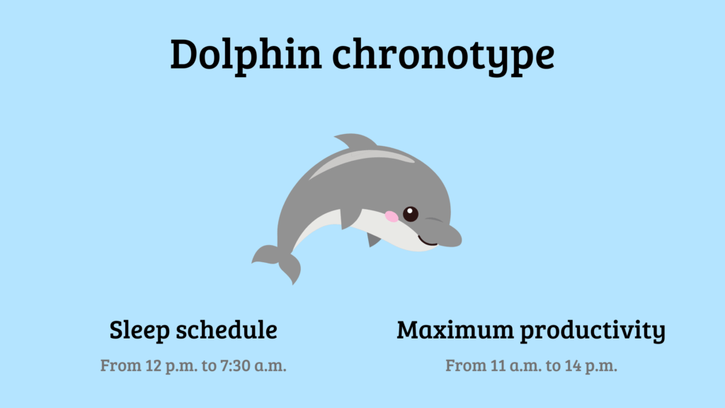Dolphin chronotype