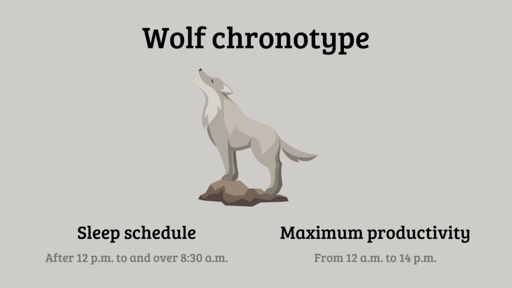 Wolf chronotype