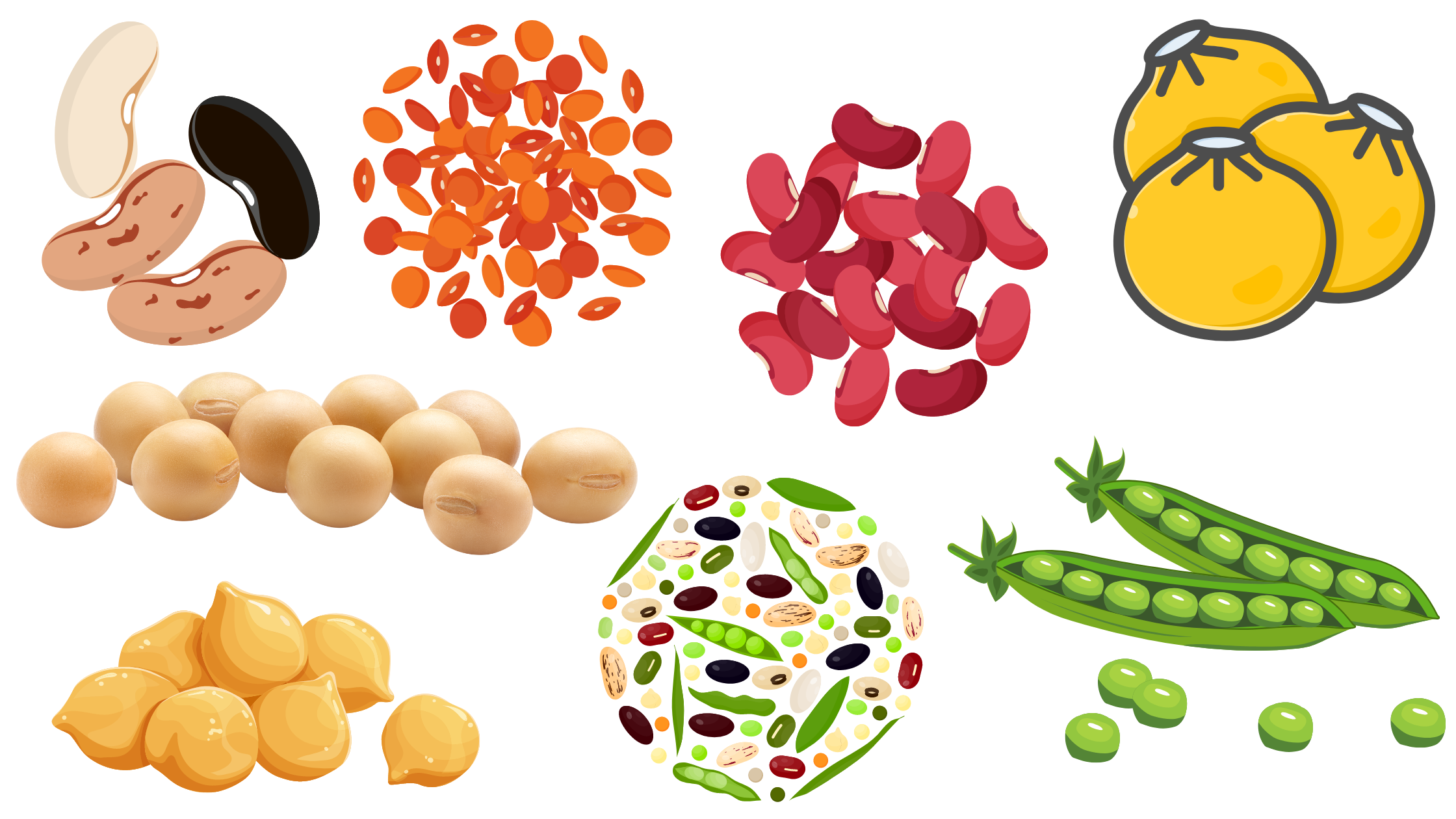 examples of dried legumes such as pinto beans, red pinto beans, chickpeas, peas, soybeans and lentils