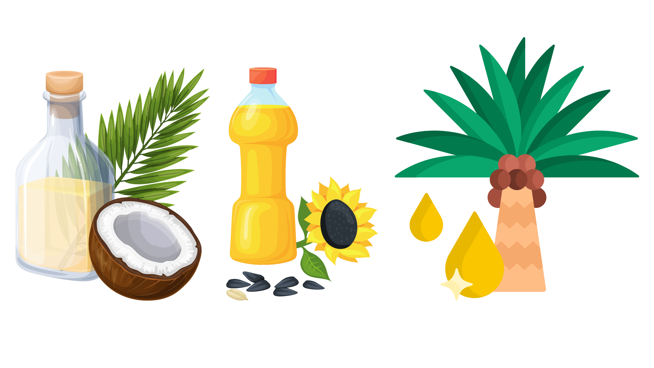 olio di cocco, girasole e palma contengono tutti i grassi trans che possono danneggiare il cervello
